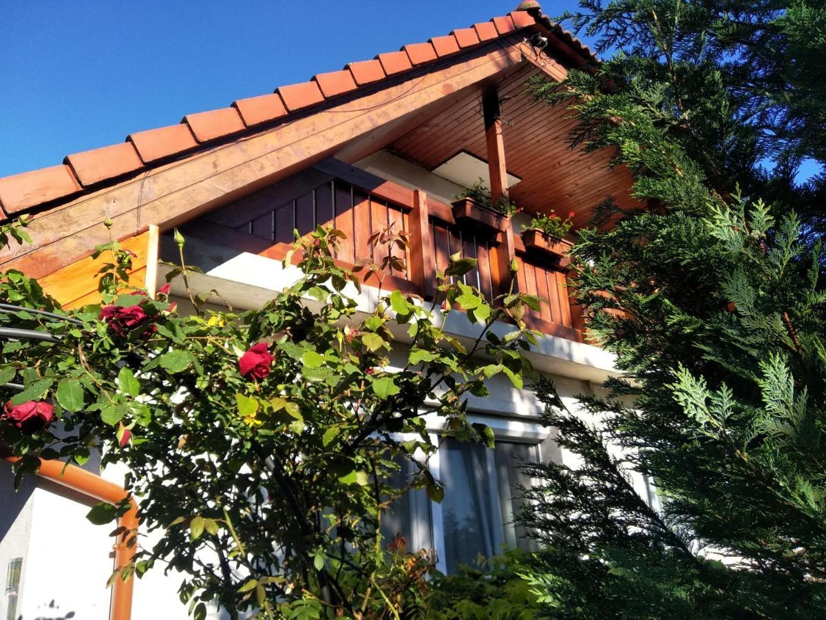 Robitel Wellness Vendeghaz Veszprem-Gyulafiratot Hotel Exterior photo